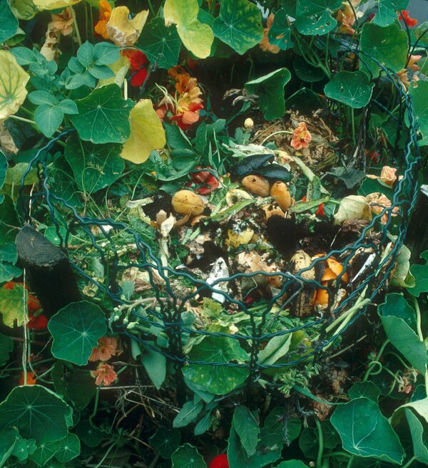 Foto: Paul Forster/WWF