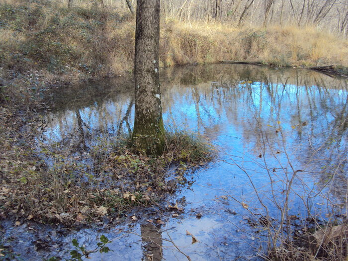 Foto: Francesco Maggi