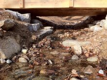 foto Oikos2000/WWF foto Oikos2000/WWF