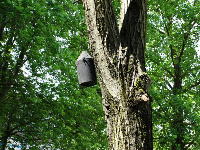 Foto: Marta Falabrino