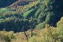 Valle di Muggio Valle di Muggio