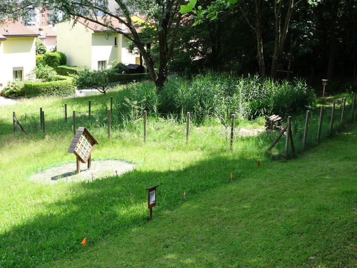 Foto: Marta Falabrino