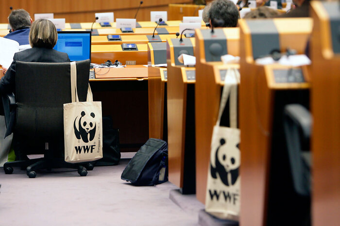 Foto: Bruno Arnold / WWF