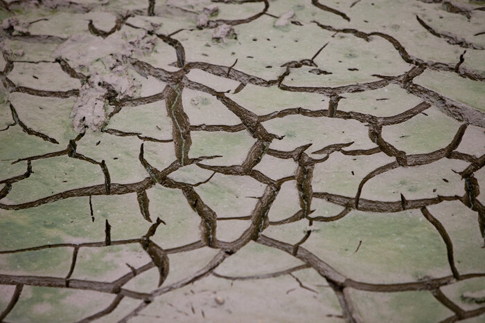 © Global Warming Images / WWF