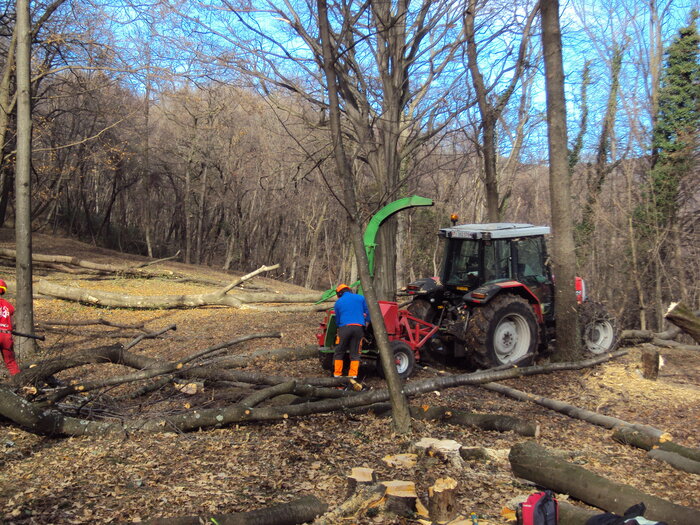 Foto: Francesco Maggi