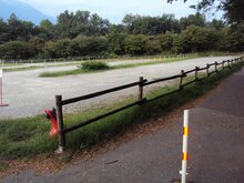 foto F.Maggi/WWF foto F.Maggi/WWF