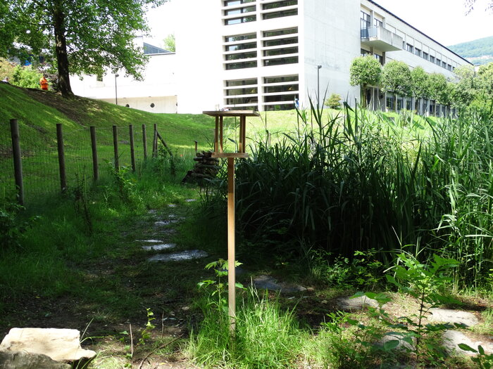 Foto: Marta Falabrino