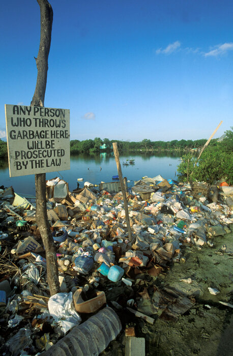 © Anthony B. Rath / WWF