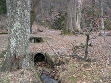 foto Oikos2000/WWF foto Oikos2000/WWF