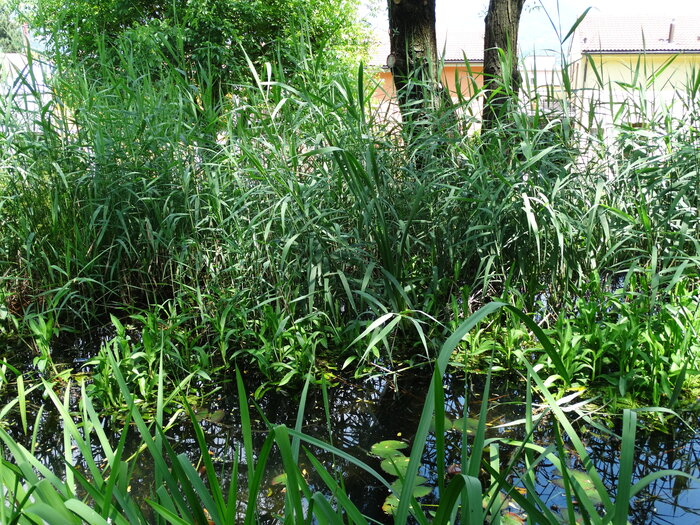 Foto: Marta Falabrino