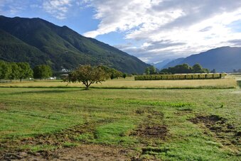 foto Maggi/WWF foto Maggi/WWF