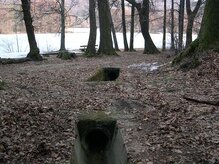 foto Oikos2000/WWF foto Oikos2000/WWF